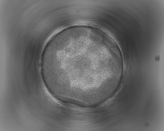 X0000112941045200910051150