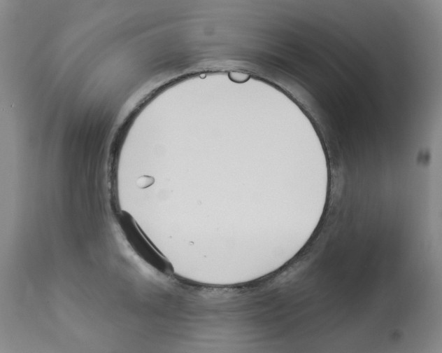 X0000112941046200910051150