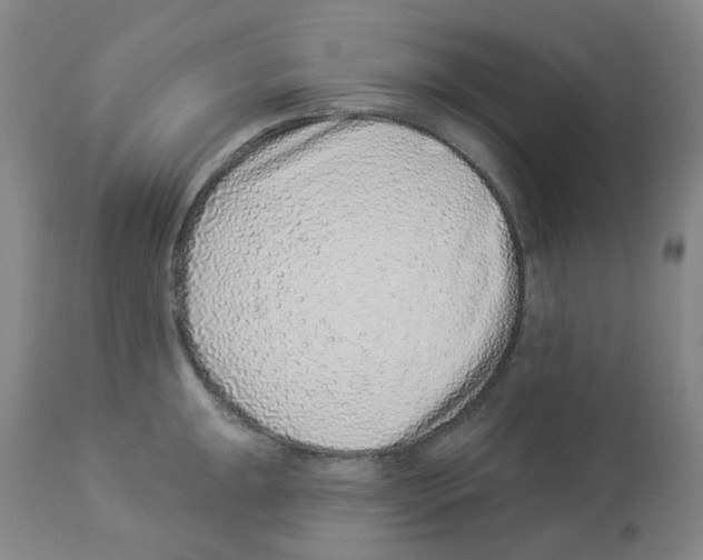 X0000112941047200910051150