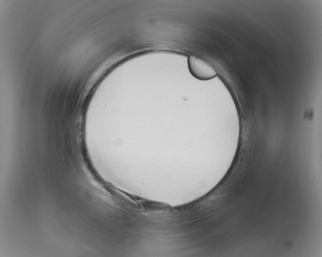 X0000112941048200910051150