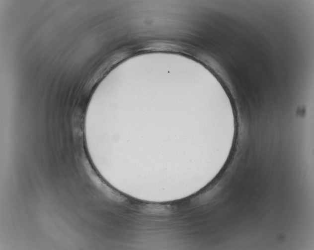 X0000112941049200910051150
