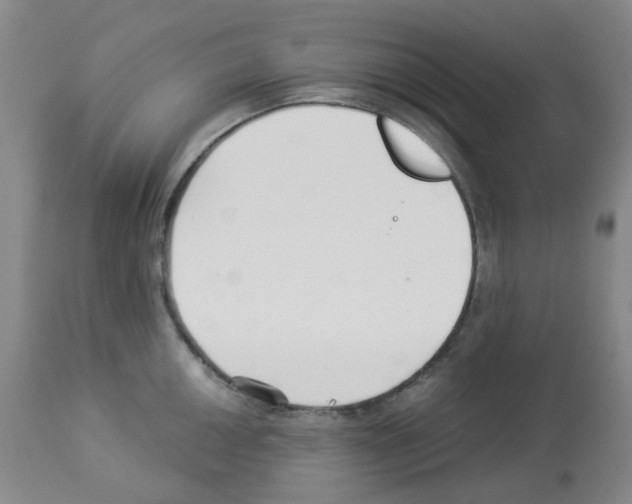 X0000112941050200910051150