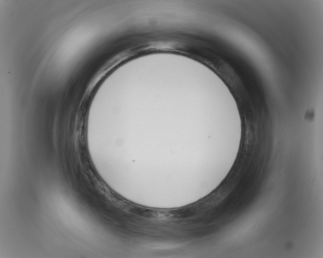 X0000112941052200910051151