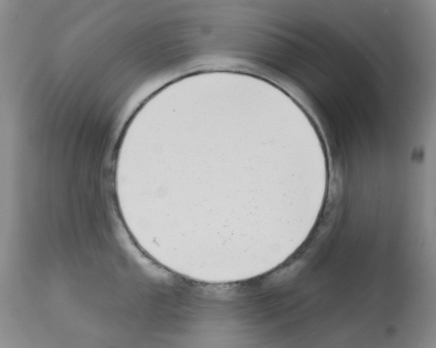 X0000112941053200910051151