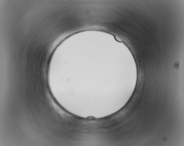 X0000112941054200910051151