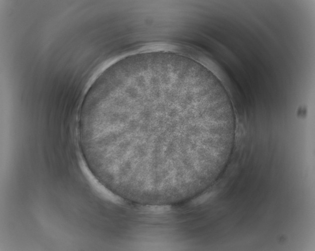 X0000112941055200910051151