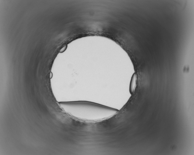 X0000112941057200910051150