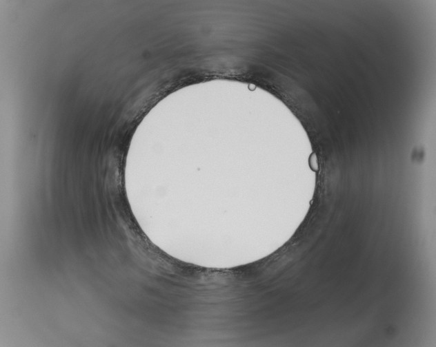 X0000112941058200910051150