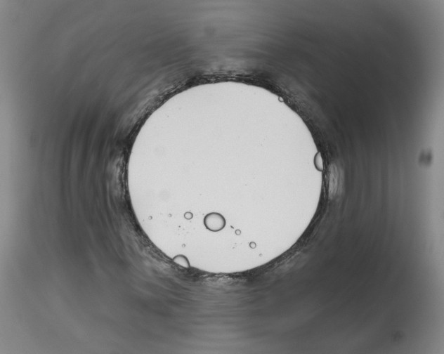 X0000112941059200910051150
