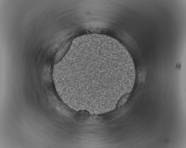 X0000112941060200910051150