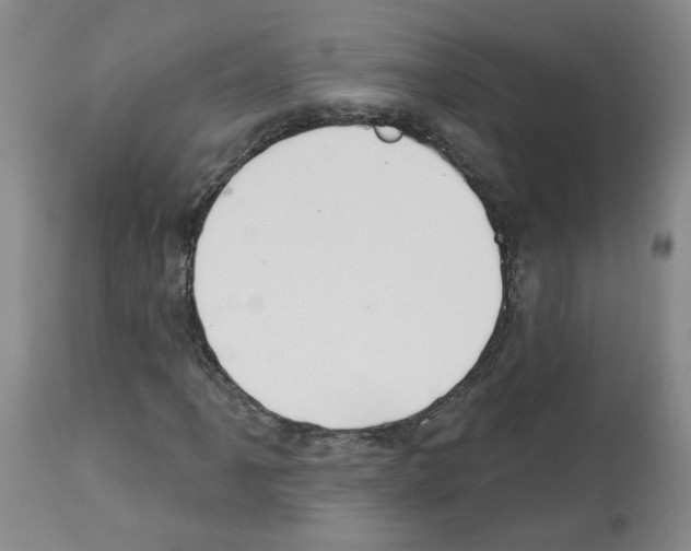X0000112941061200910051150