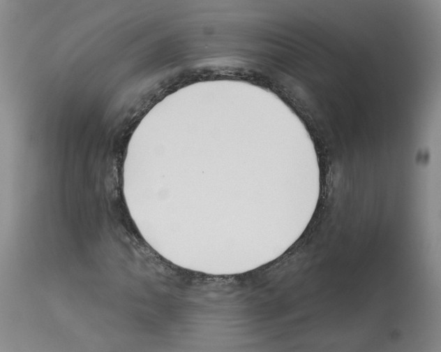 X0000112941062200910051150