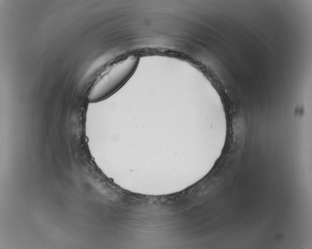 X0000112941064200910051150