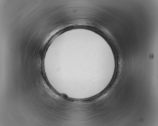 X0000112941065200910051150
