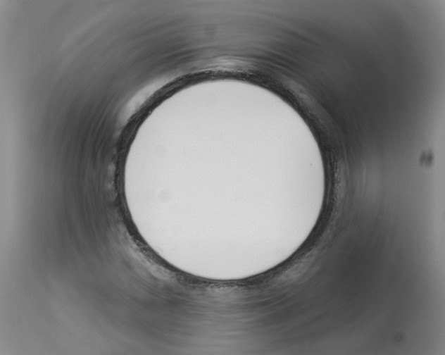 X0000112941066200910051150