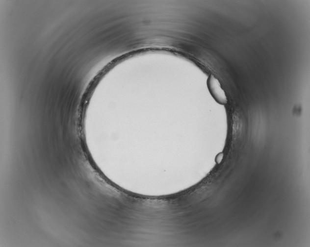 X0000112941068200910051150