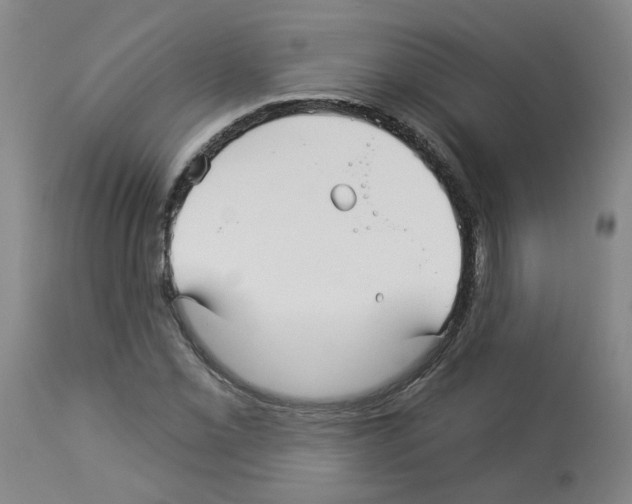 X0000112941069200910051150