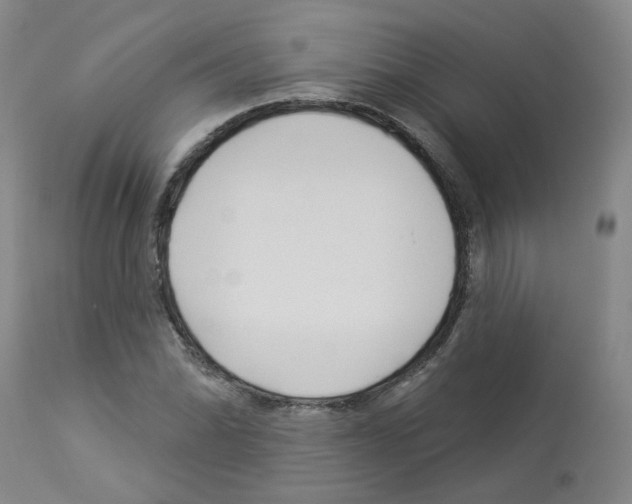 X0000112941070200910051150