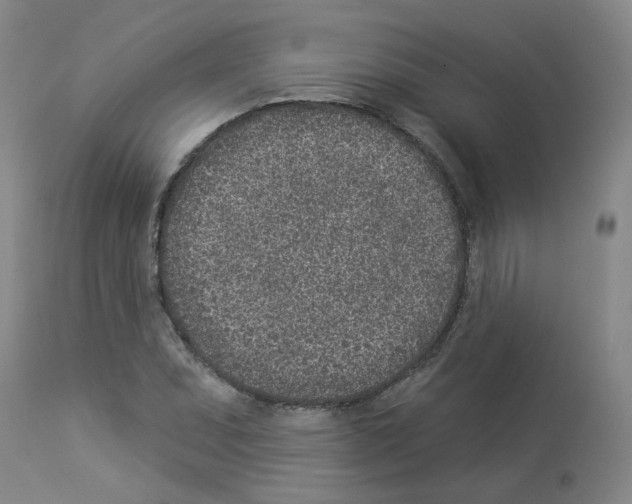 X0000112941071200910051150