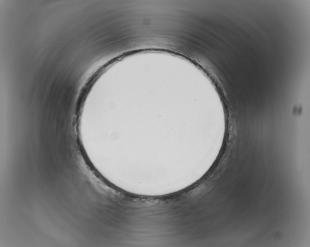 X0000112941072200910051150