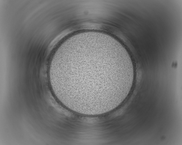 X0000112941074200910051150