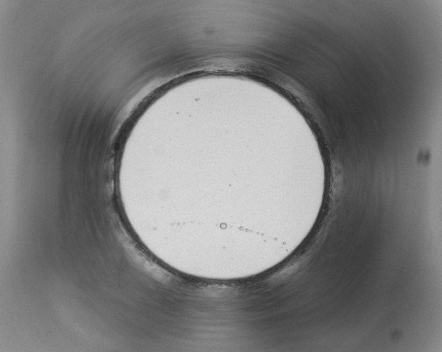 X0000112941075200910051150