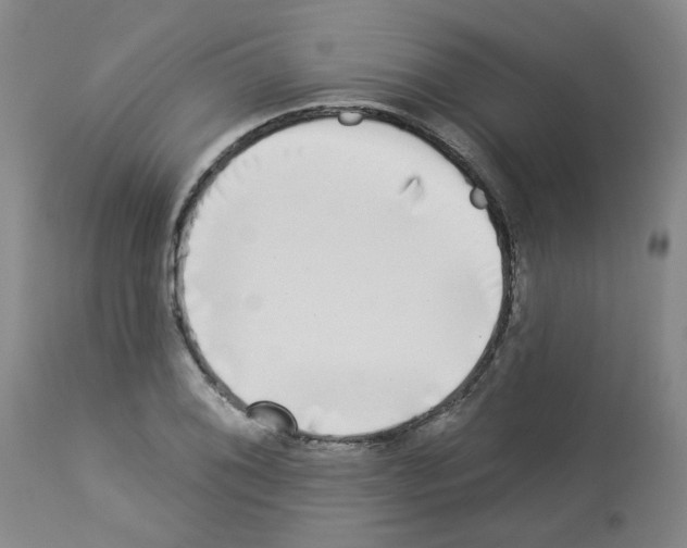 X0000112941076200910051149