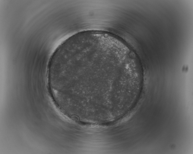 X0000112941077200910051149