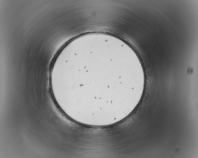 X0000112941079200910051149