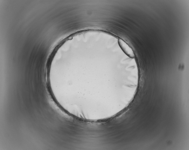 X0000112941080200910051149