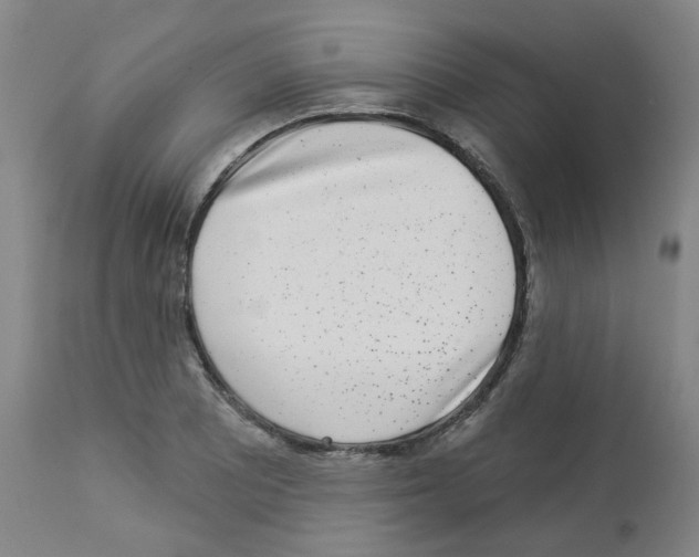 X0000112941081200910051149