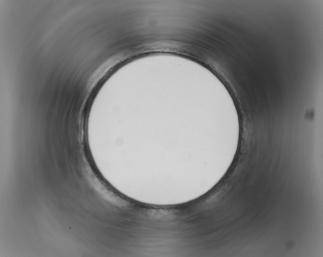 X0000112941082200910051149