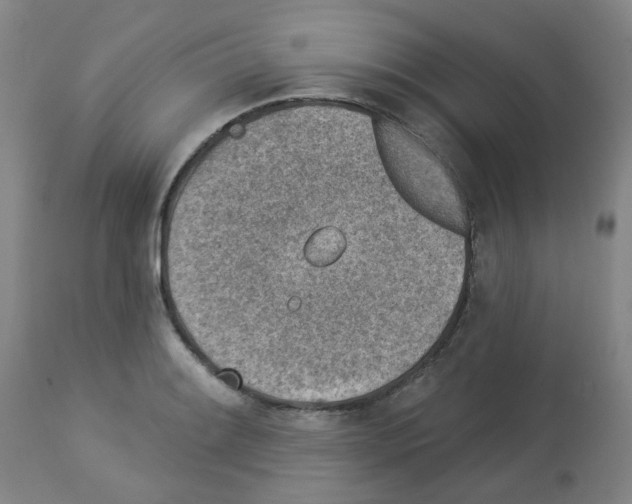 X0000112941084200910051149
