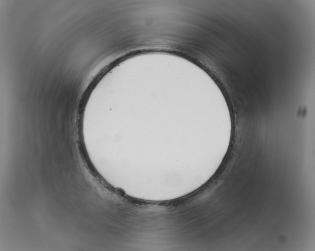 X0000112941085200910051149