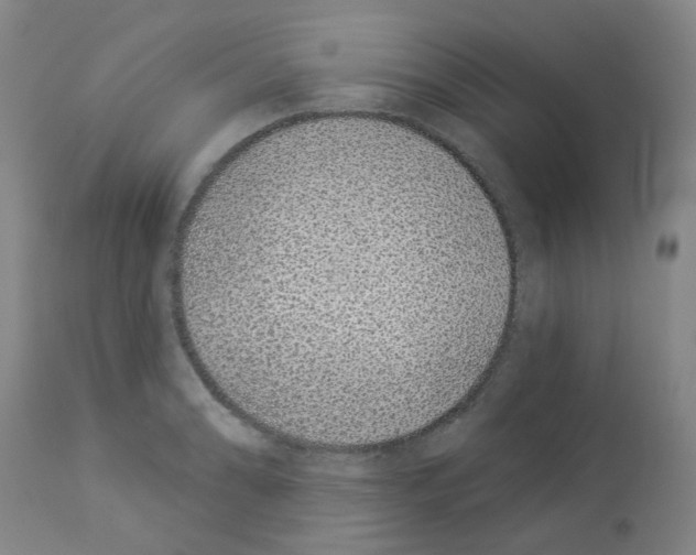 X0000112941086200910051149