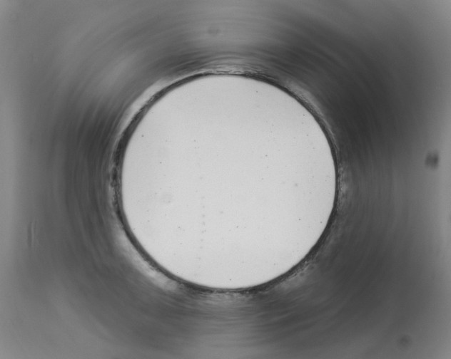 X0000112941091200910051149