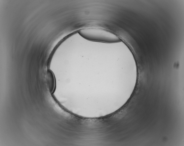 X0000112941092200910051149