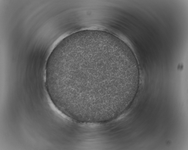 X0000112941095200910051149