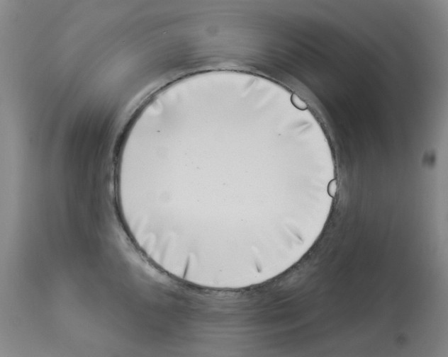 X0000112941096200910051149