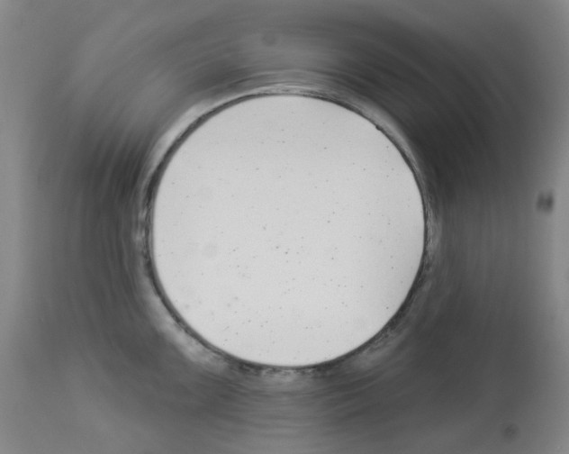 X0000112941099200910051149