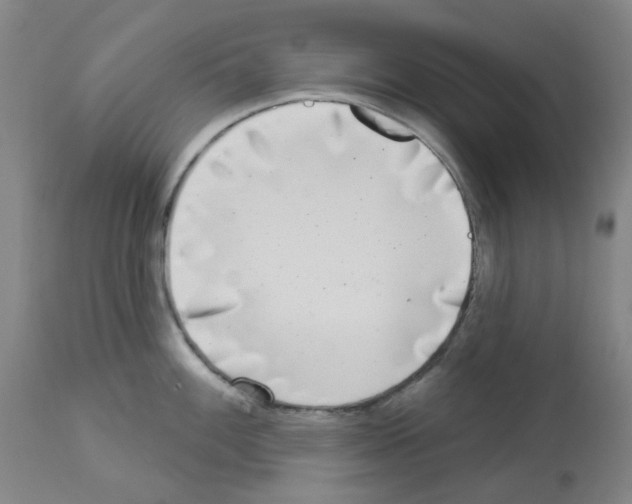 X0000112941100200910051149