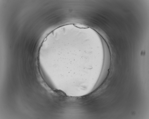 X0000112941104200910051149