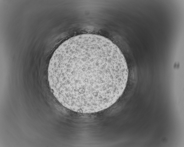 X0000112941105200910051148