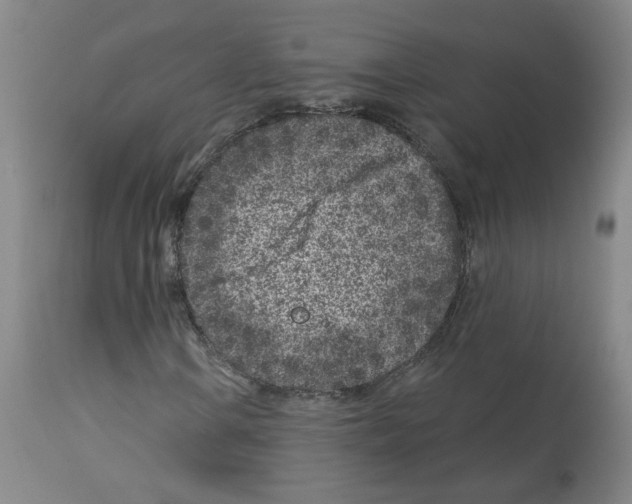 X0000112941106200910051148