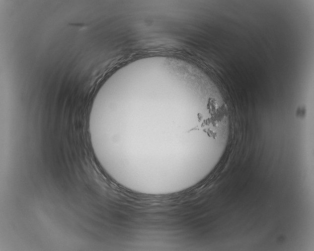 X0000112941108200910051149