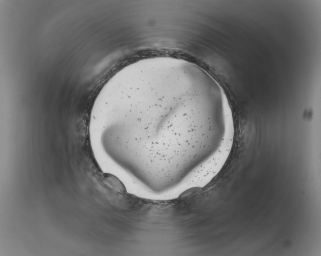 X0000112941110200910051149