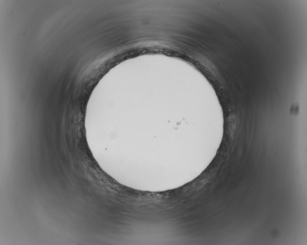 X0000112941111200910051149