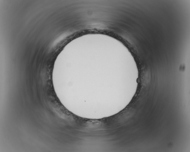 X0000112941112200910051149