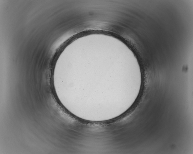 X0000112941114200910051149