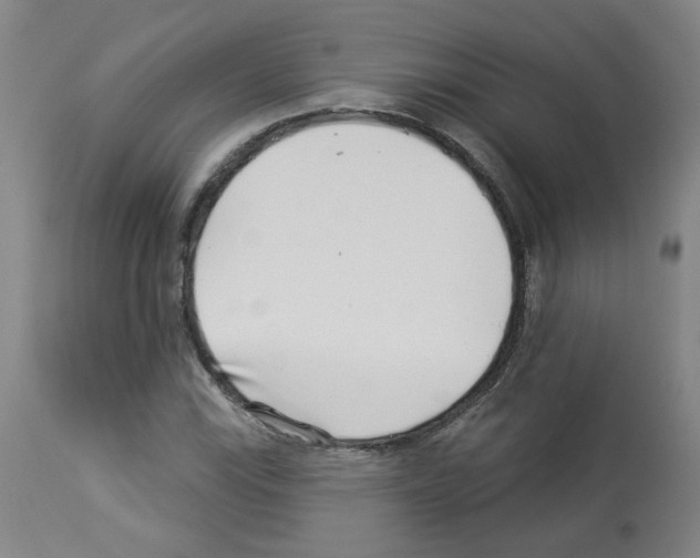 X0000112941115200910051149